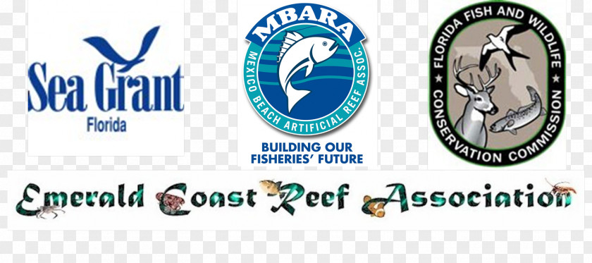 Celebrate The Nineteen Largest Meeting Logo Organization Florida Fish And Wildlife Conservation Commission Brand Font PNG