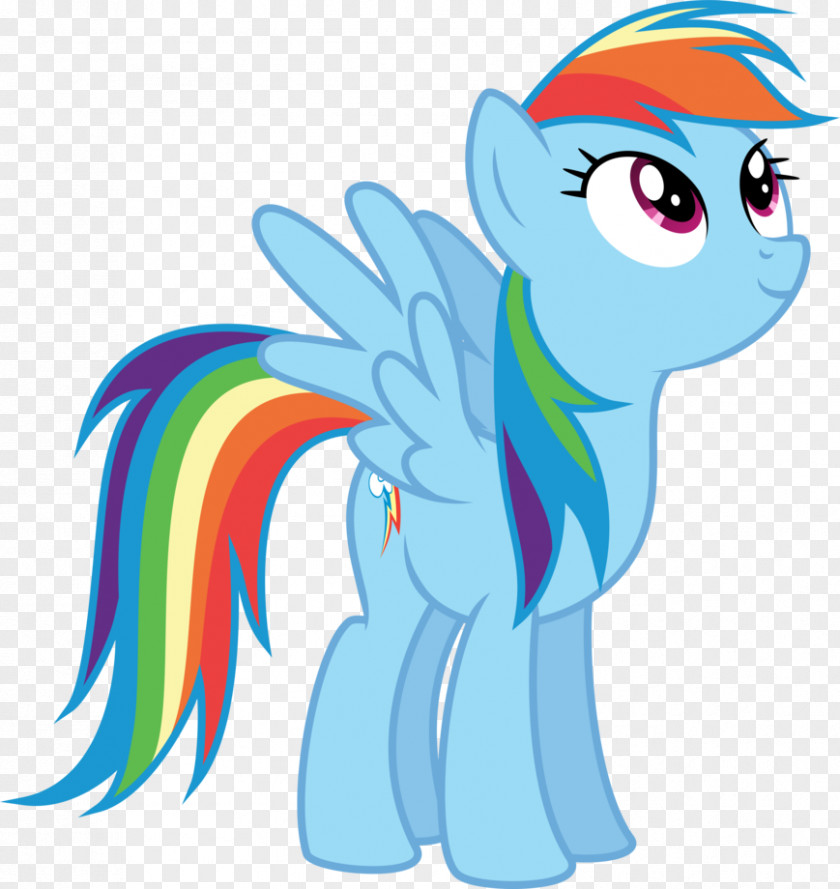 Dash Rainbow Pinkie Pie My Little Pony PNG