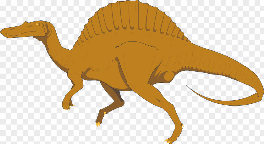 Dinosaur Spinosaurus Apatosaurus Stegosaurus Image PNG