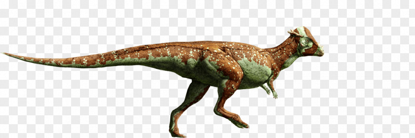 Dinosaur Triceratops Tyrannosaurus Velociraptor Pachycephalosaurus Hadrosaurus PNG