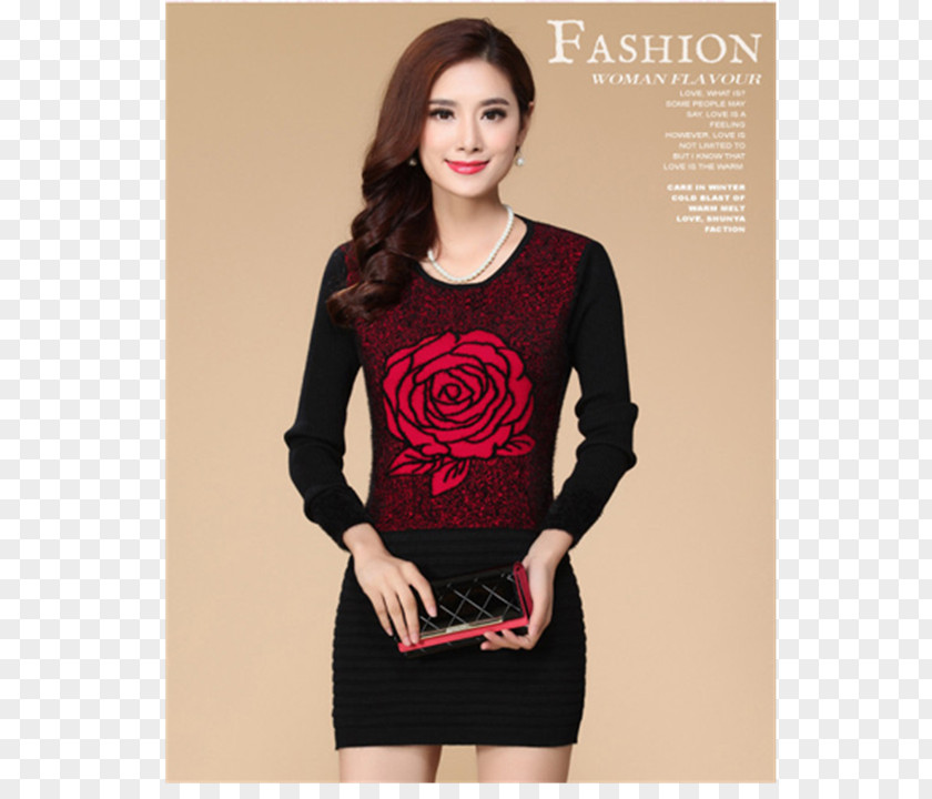 Dress Sleeve Fashion Velvet PNG