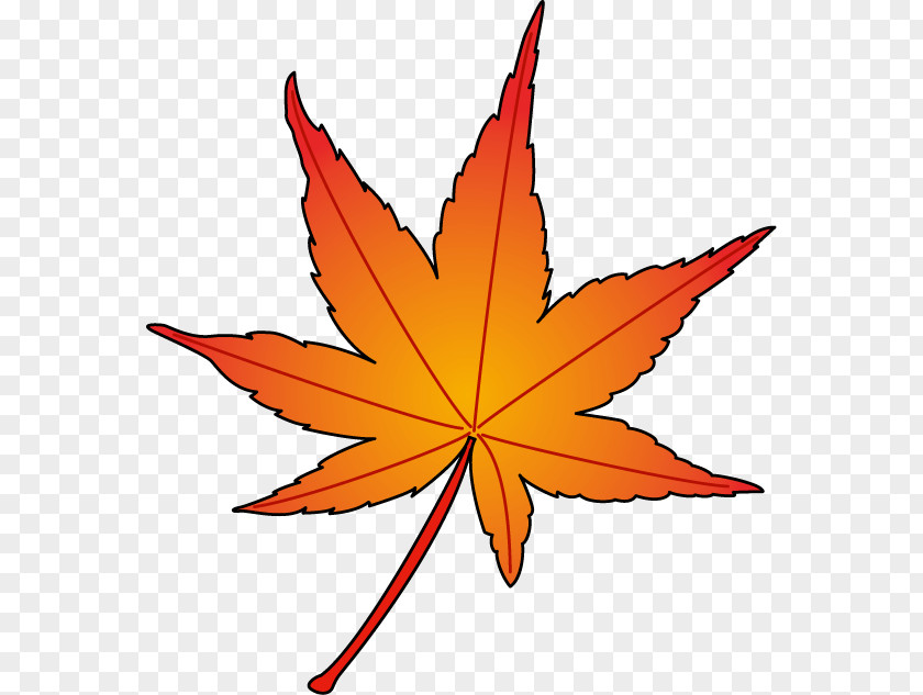 Leaf Maple Symmetry Clip Art PNG