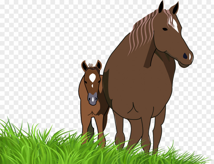 Mustang On The Prairie American Paint Horse Foal Mare Pony Clip Art PNG
