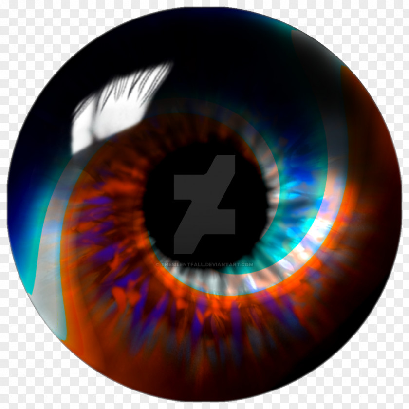 Orange Iris Eye Purple Violet PNG