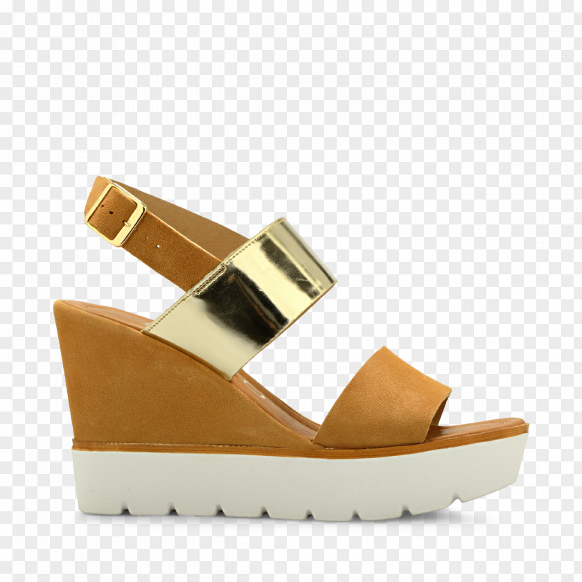 Sandal Shoe PNG