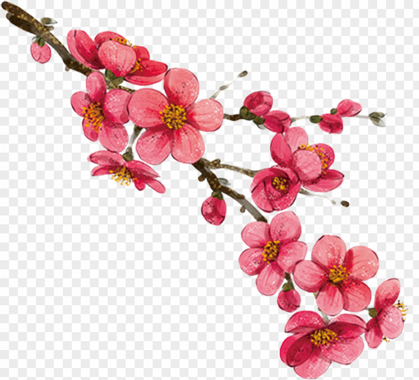 Cartoon Hand Painted Peach Branches Download PNG