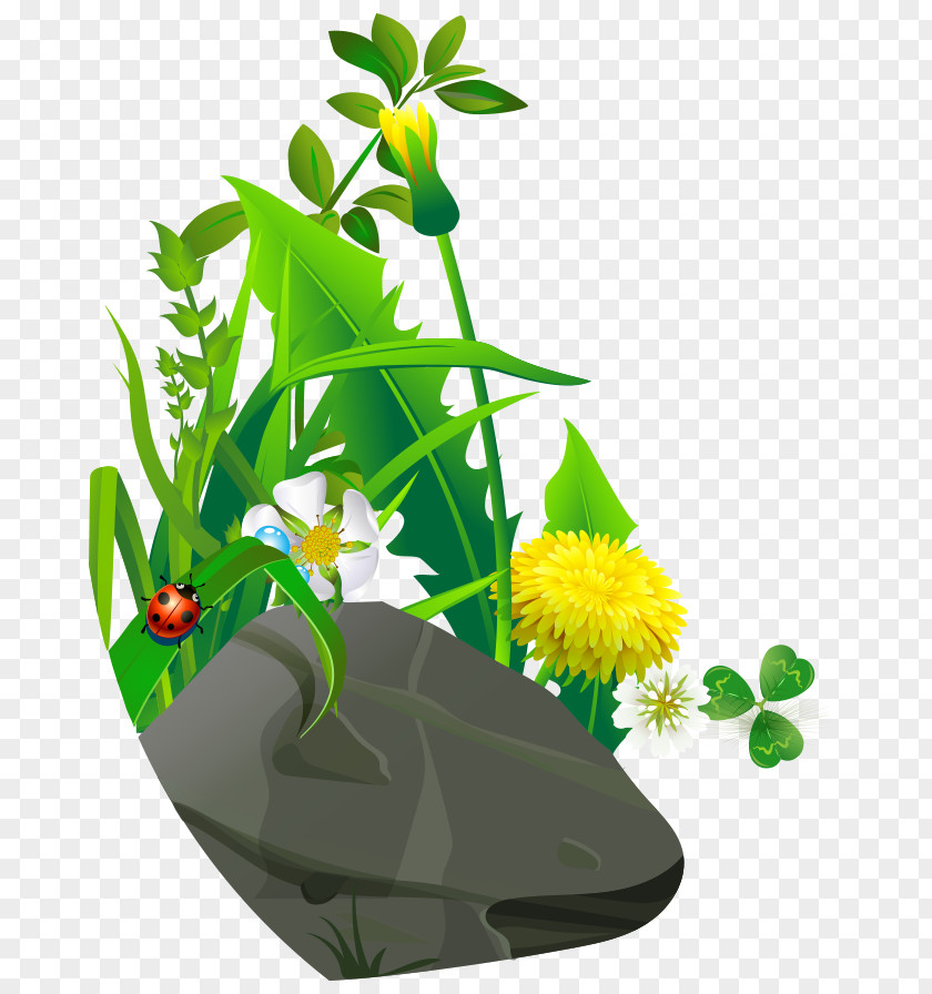 Cartoon Painted Stone Flowers Grass Ladybird Drawing PNG