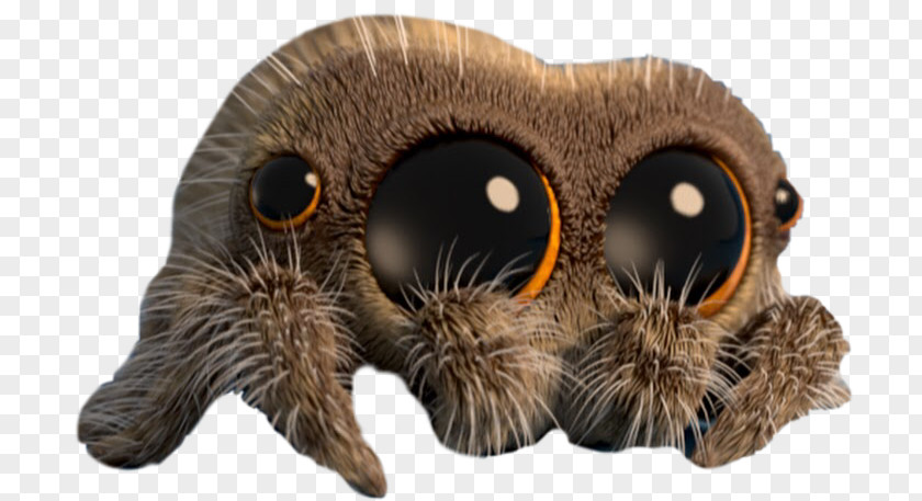 Cute Spider Lucas The Animated Film Fresh TV Arachnophobia PNG