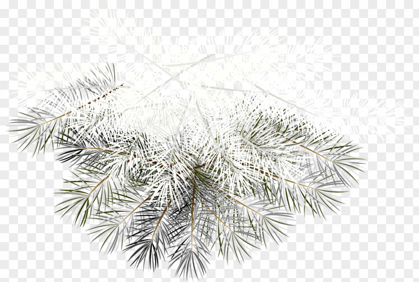 Frost Christmas Ornament Clip Art PNG