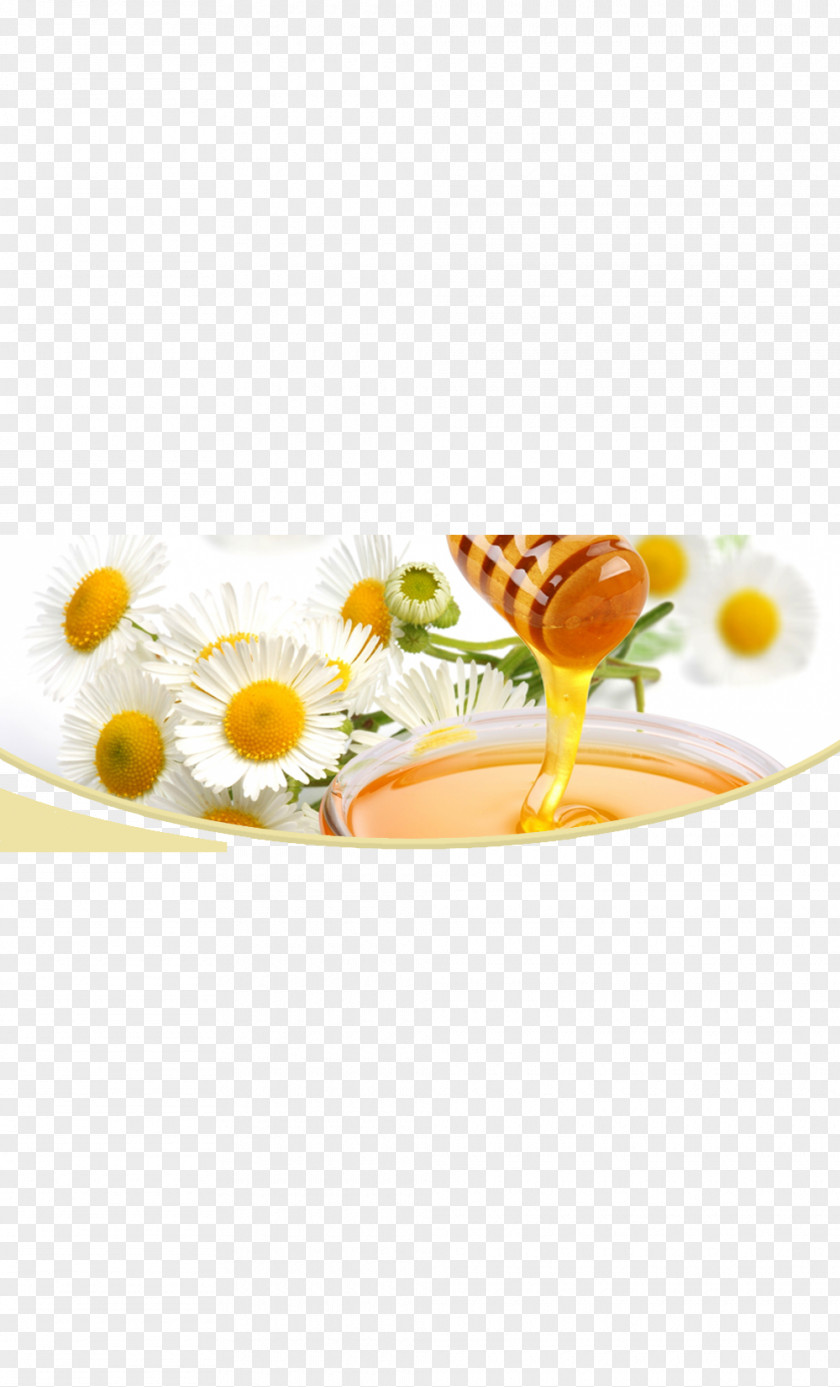 Honey Chamomile Frozen Yogurt Orange Juice Bee PNG