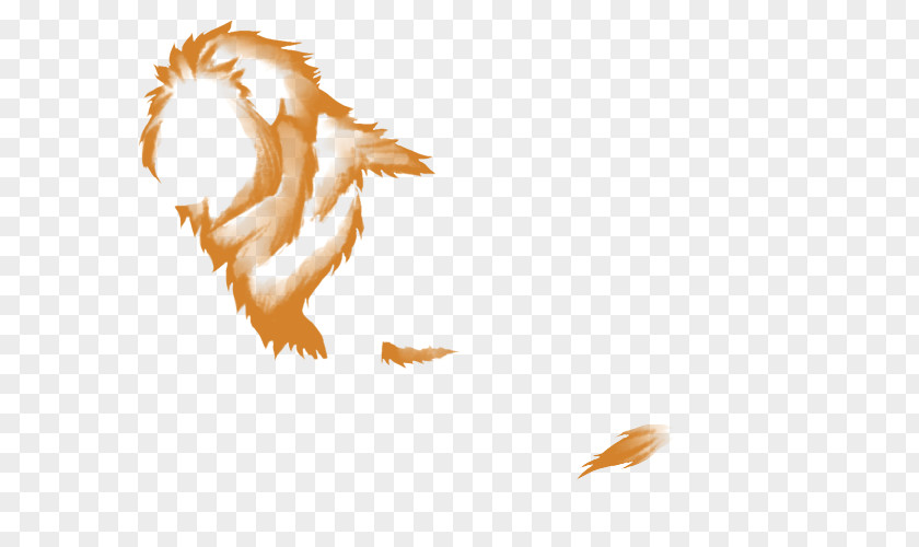 Lion Mane Wing Bird Beak Feather Desktop Wallpaper PNG