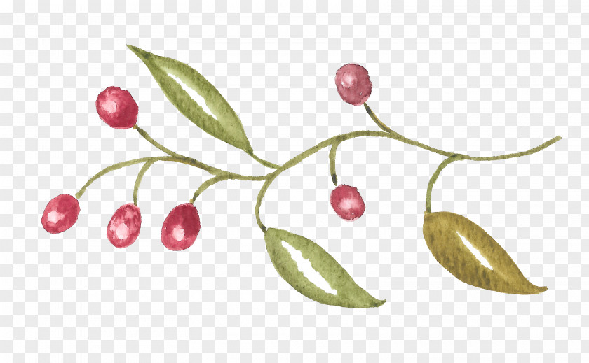 Red Fruit And Green Leaves Cherry Auglis PNG
