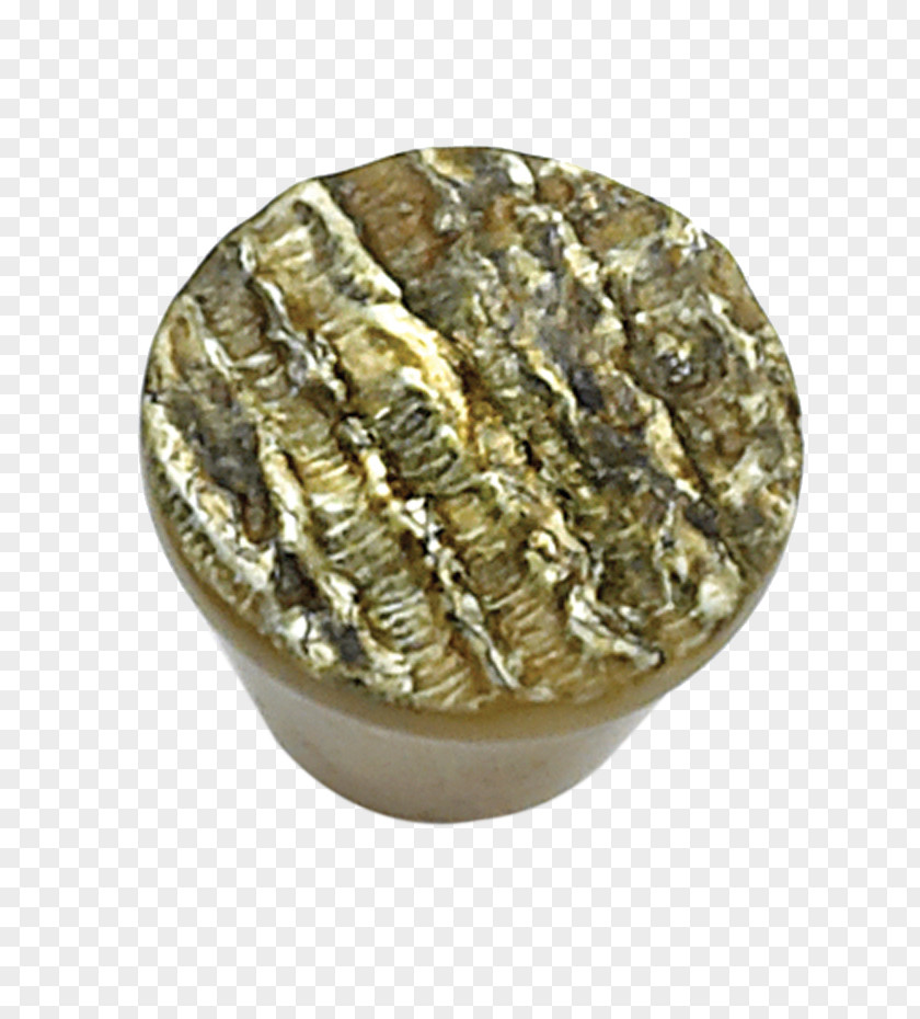 Seashell Oyster 0 Cabinetry Computer Hardware PNG