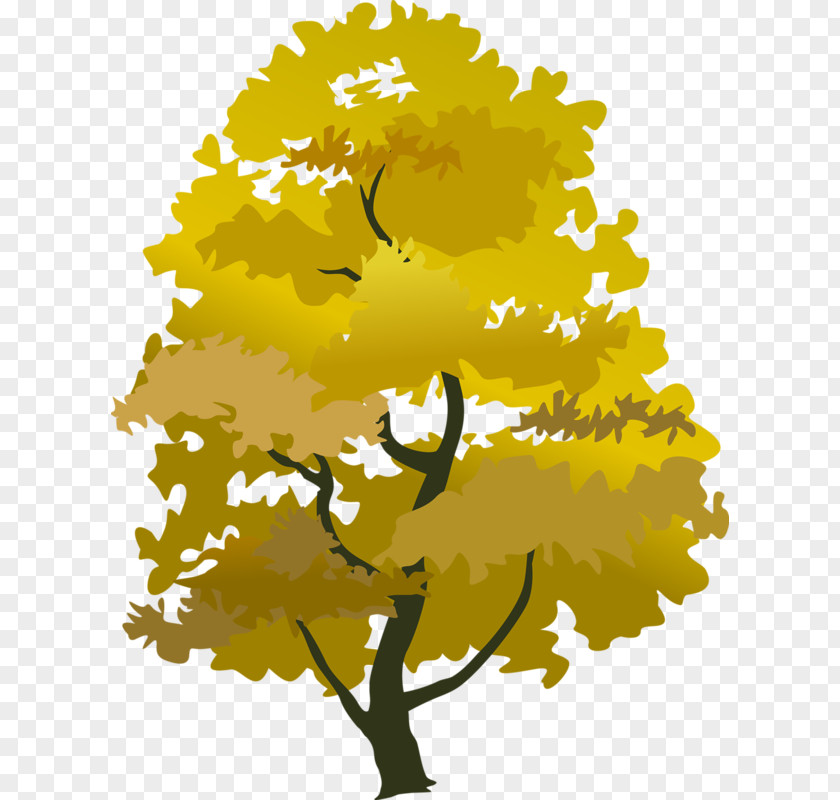 Trees Tree Autumn Clip Art PNG