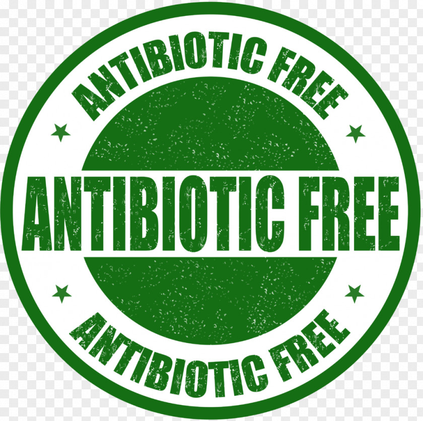 Antibotics Poster Antibiotics Logo Vector Graphics Image Stock Illustration PNG