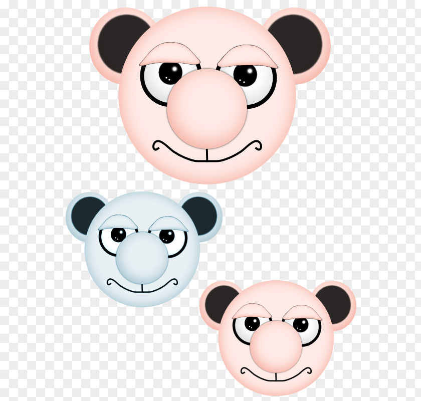 Bear Face Snout Cartoon Visual Perception PNG