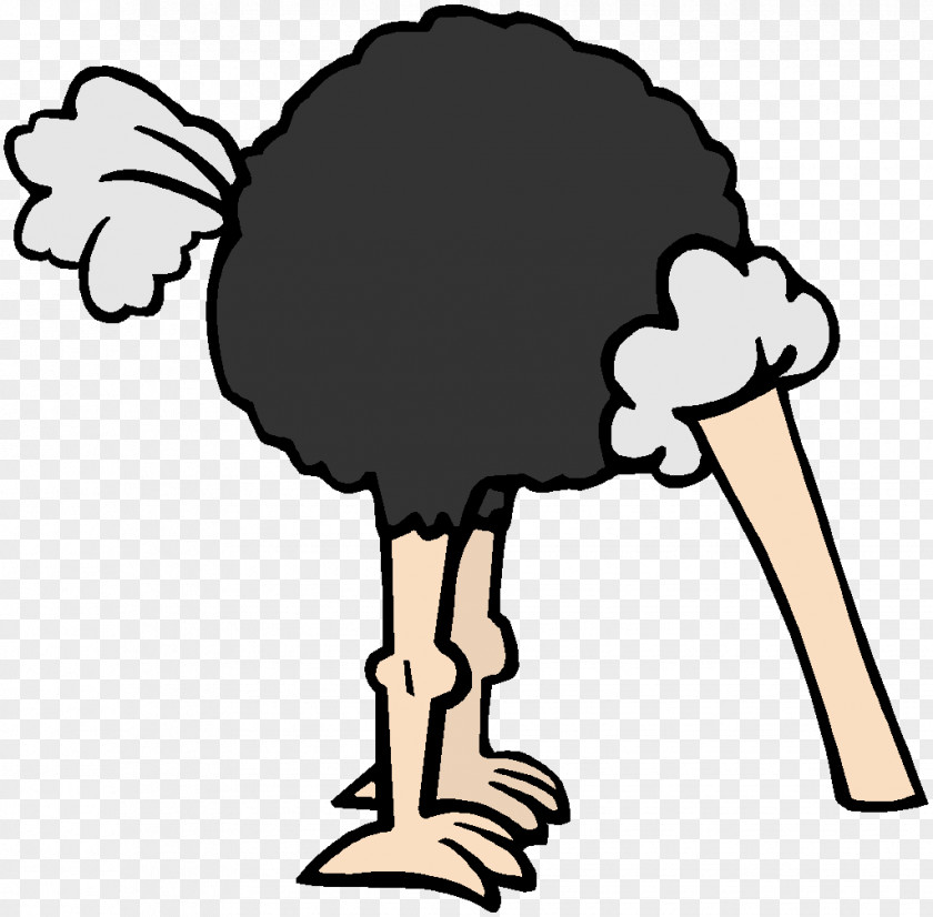 Bird Common Ostrich Cartoon Comics Clip Art PNG