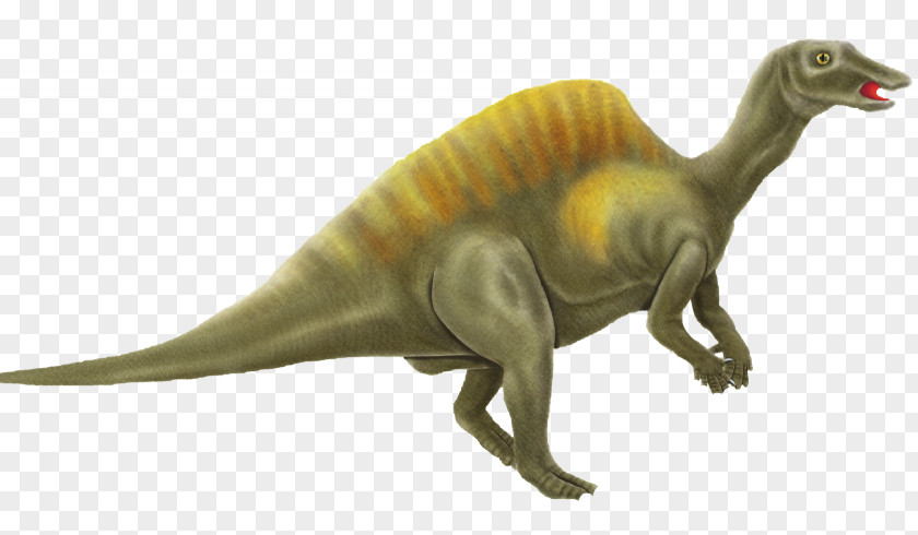 Dinosaur Tyrannosaurus Pictures Triceratops PNG