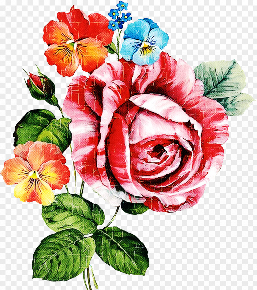 Floral Design PNG