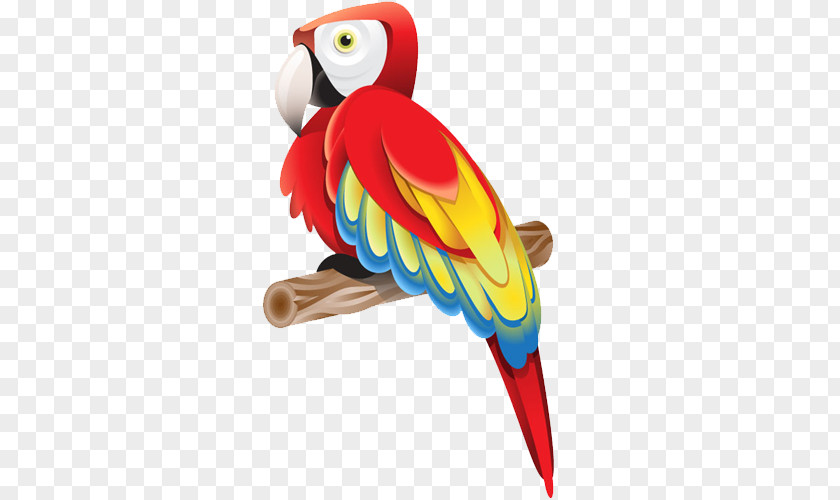 Hand Colored Parrot Adobe Illustrator Tutorial Graphic Design PNG