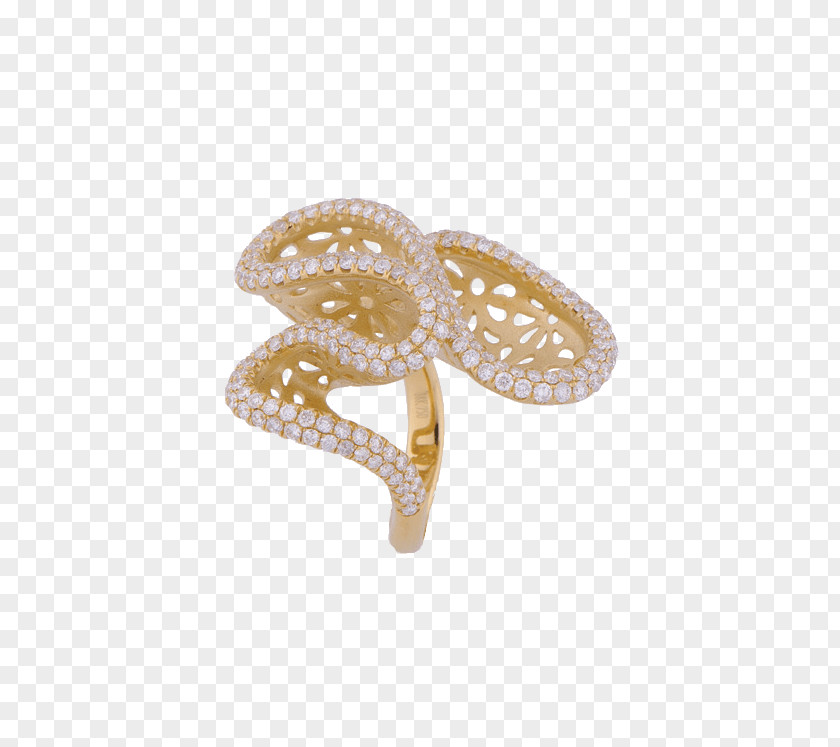 Jewellery Body Clothing Accessories Hair PNG