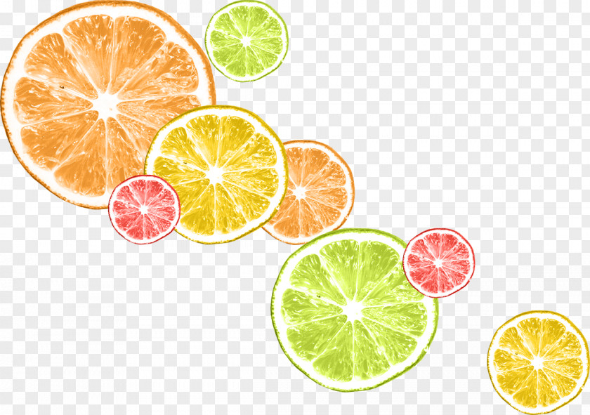 Lemon Lemon-lime Drink Key Lime PNG