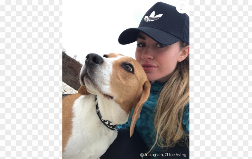 Model Chloe Ayling Dog Breed Kidnapping Surrey PNG