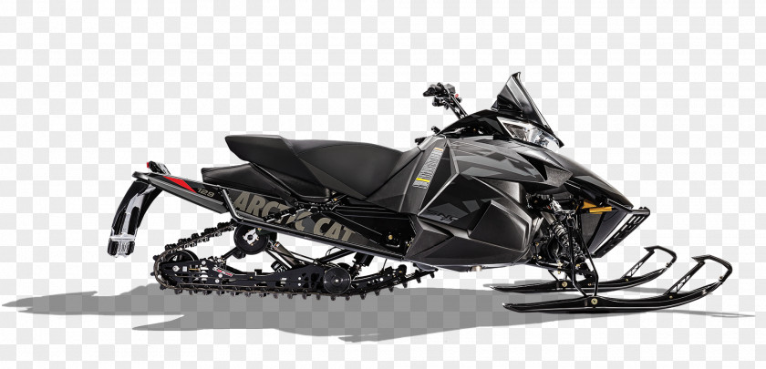 Motorcycle Arctic Cat Snowmobile Common Admission Test (CAT) · 2017 Sales PNG
