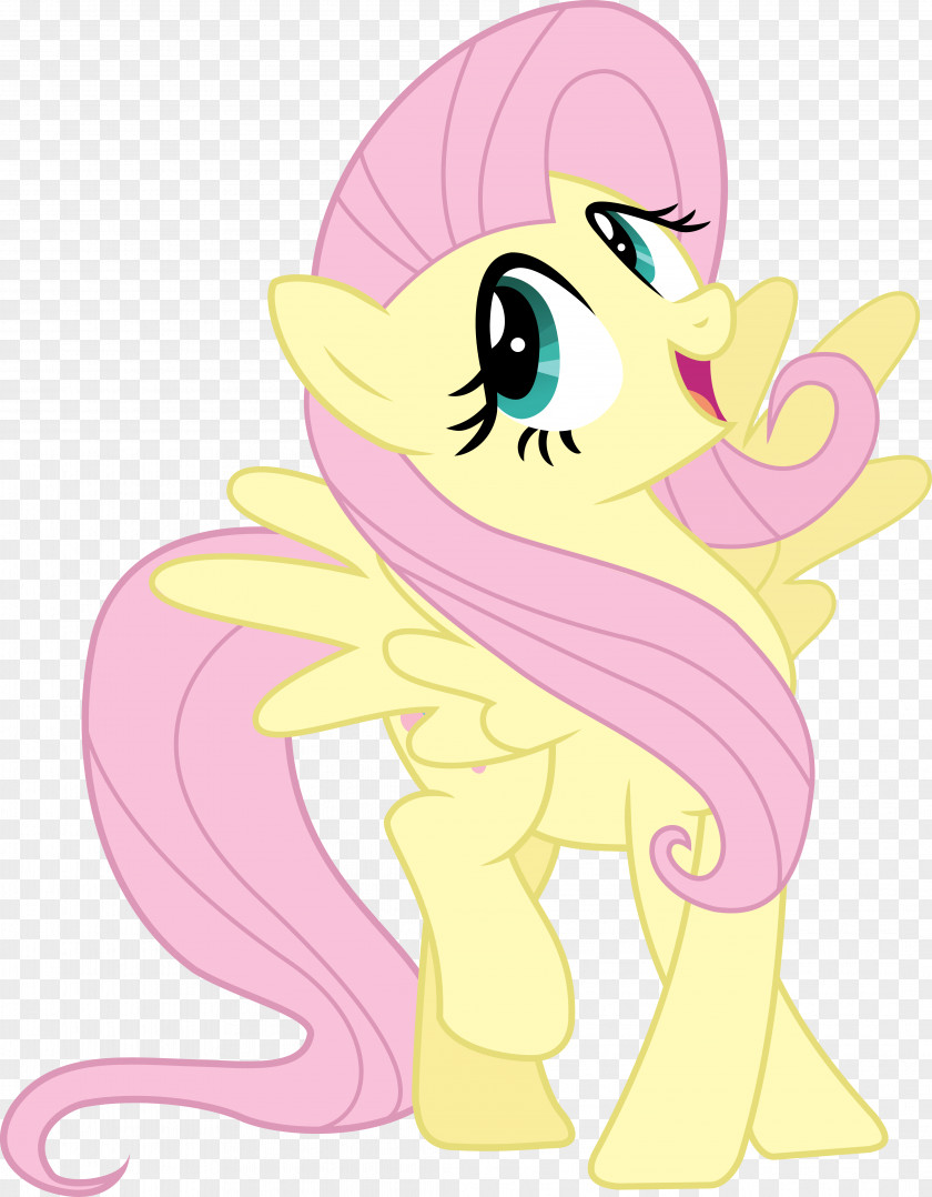 My Little Pony Fluttershy Twilight Sparkle Pinkie Pie Rainbow Dash PNG