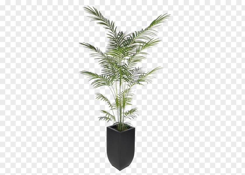 Plant Arecaceae Areca Palm Artificial Flower Dracaena Reflexa PNG