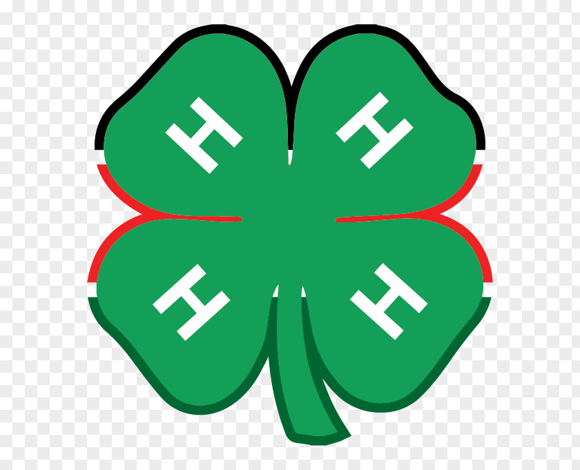 Plant Clover Green Leaf Background PNG