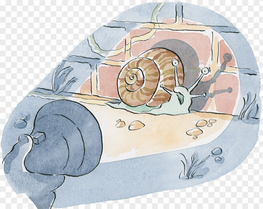 Snails Found In Watercolor Illustrations By Flashlight Drawing Painting Illustration PNG