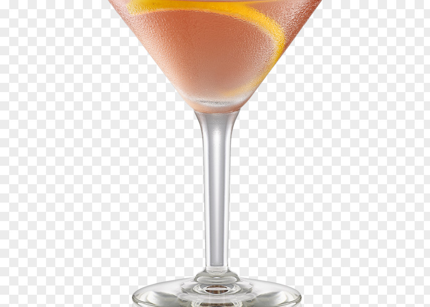Cranberry Juice Cocktail Garnish Martini Wine Sea Breeze PNG
