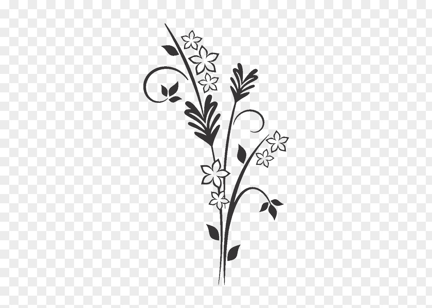 Design Floral Graphics Clip Art Illustration PNG