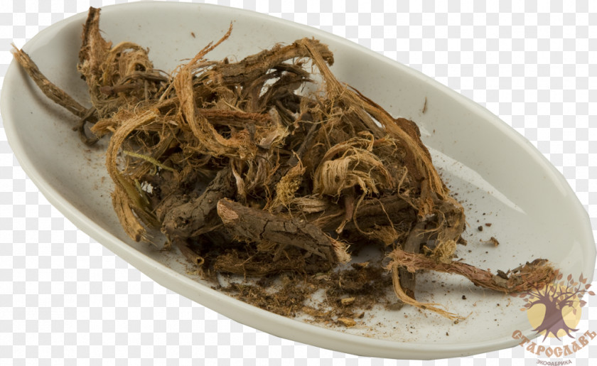 Romeritos Root Red Plant Recipe PNG