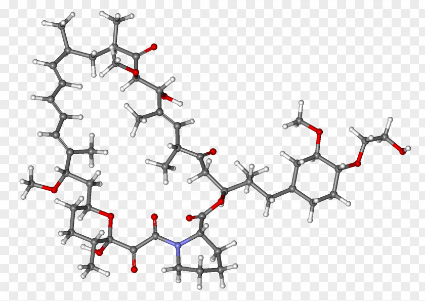 Substance Everolimus Sirolimus MTOR Inhibitors Sorafenib PNG