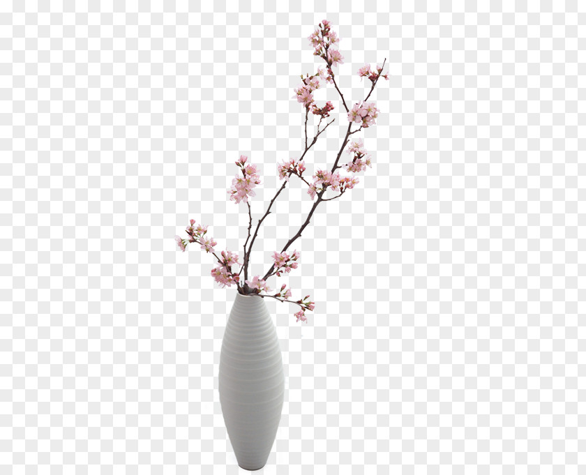 Exquisite Vase Plum Blossom PNG