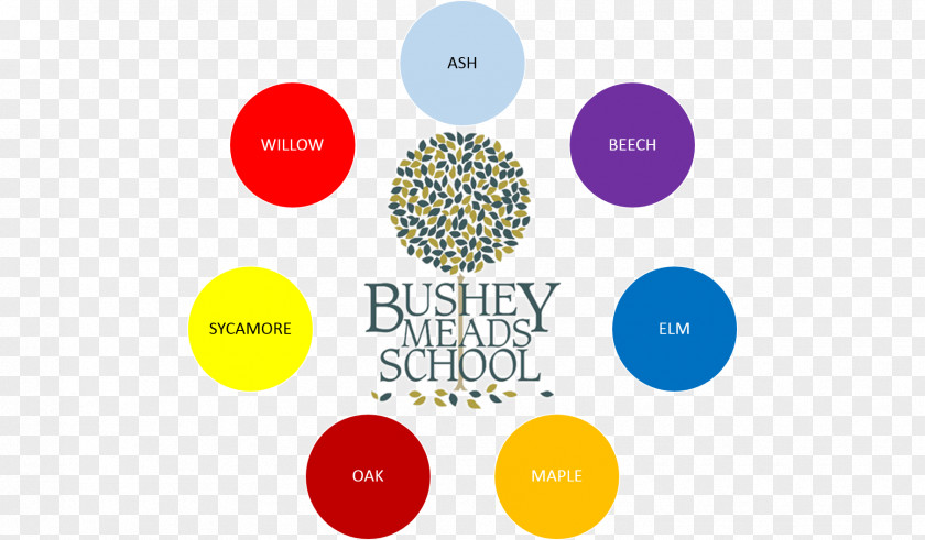 Introduction Bushey Meads School House System Graphic Design PNG
