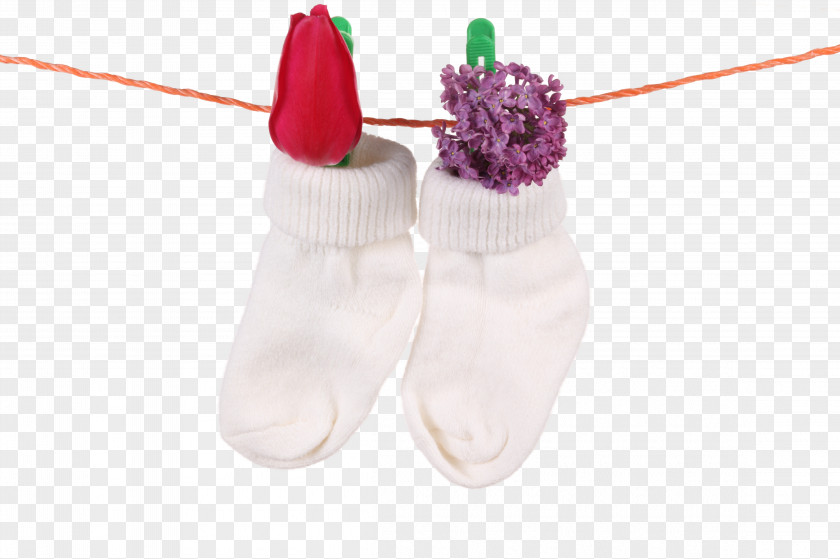 Needle Sock Clothing Shoe Hosiery Washing PNG