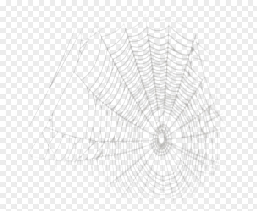 Spider Web Image Desktop Wallpaper PNG