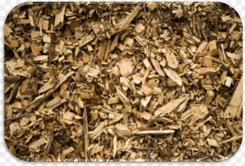 Wood Biomass Woodchips Sawdust Energy PNG