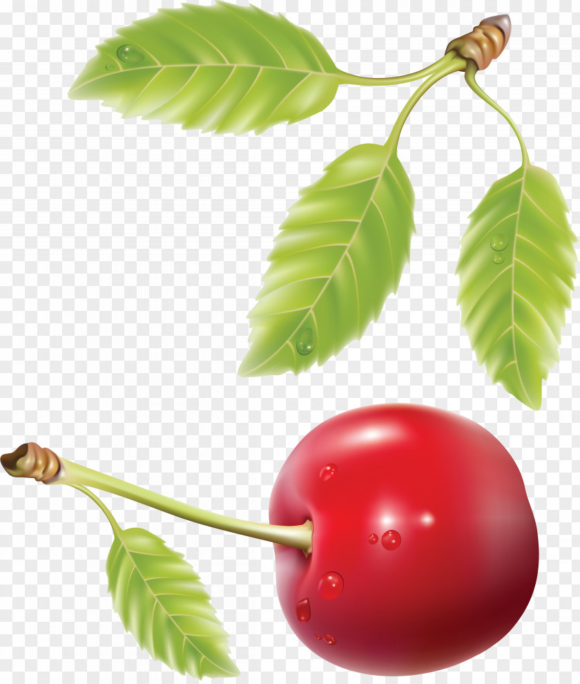 Cherry Fruit Royalty-free PNG