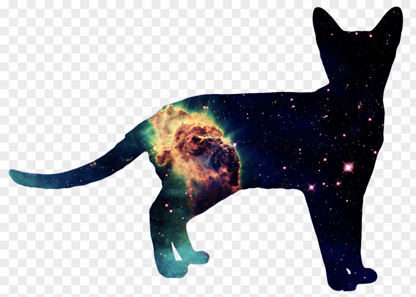 Cosmos Cat Dog Calvin And Hobbes PNG