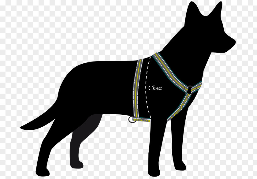 Dog Harness Norwegian Elkhound Dachshund Dobermann Horse Harnesses PNG harness Harnesses, others clipart PNG