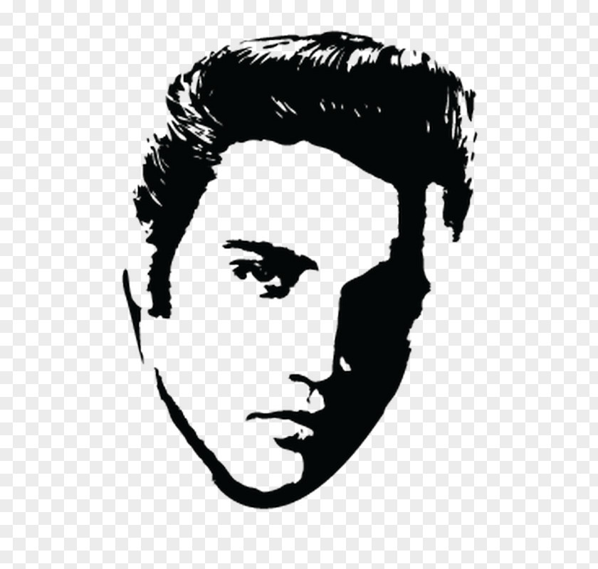 Elvis Presley Image Mural Wall Decal Sticker Wallpaper PNG