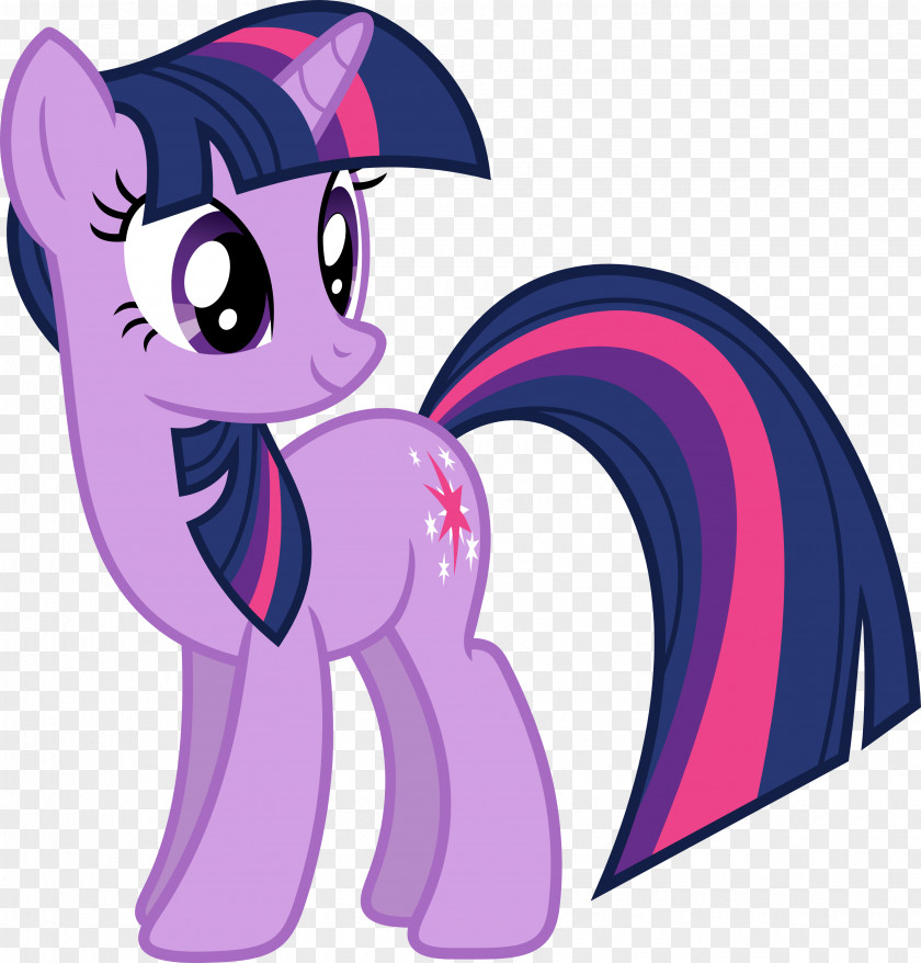 My Little Pony Twilight Sparkle Rarity Pinkie Pie Rainbow Dash Applejack PNG