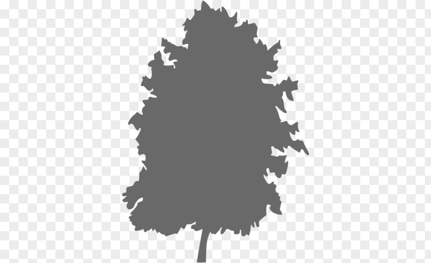 Tree Desktop Wallpaper Black PNG