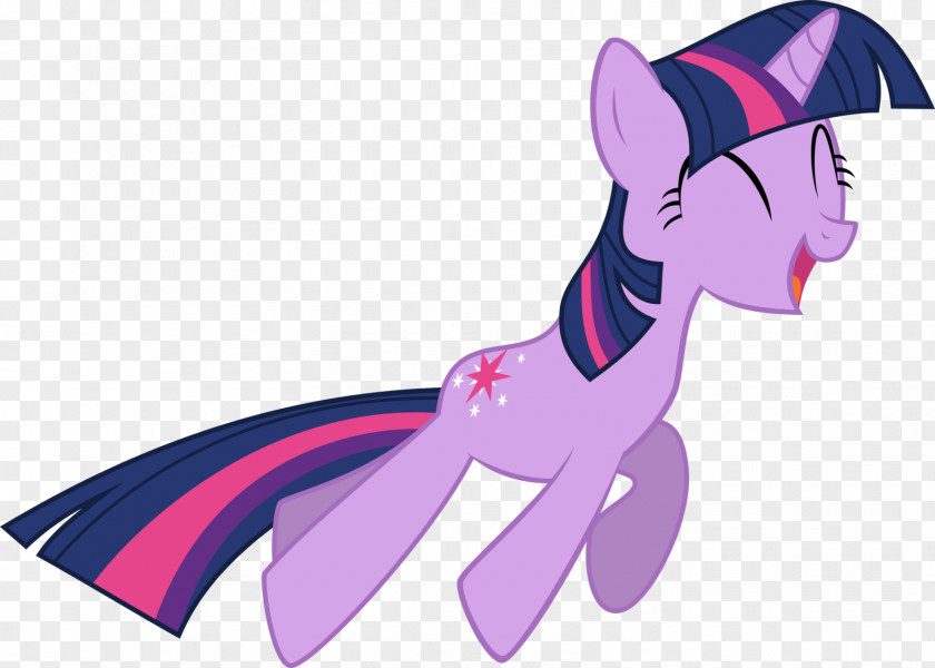 Twilight Sparkle Pony Pinkie Pie Rarity Rainbow Dash PNG