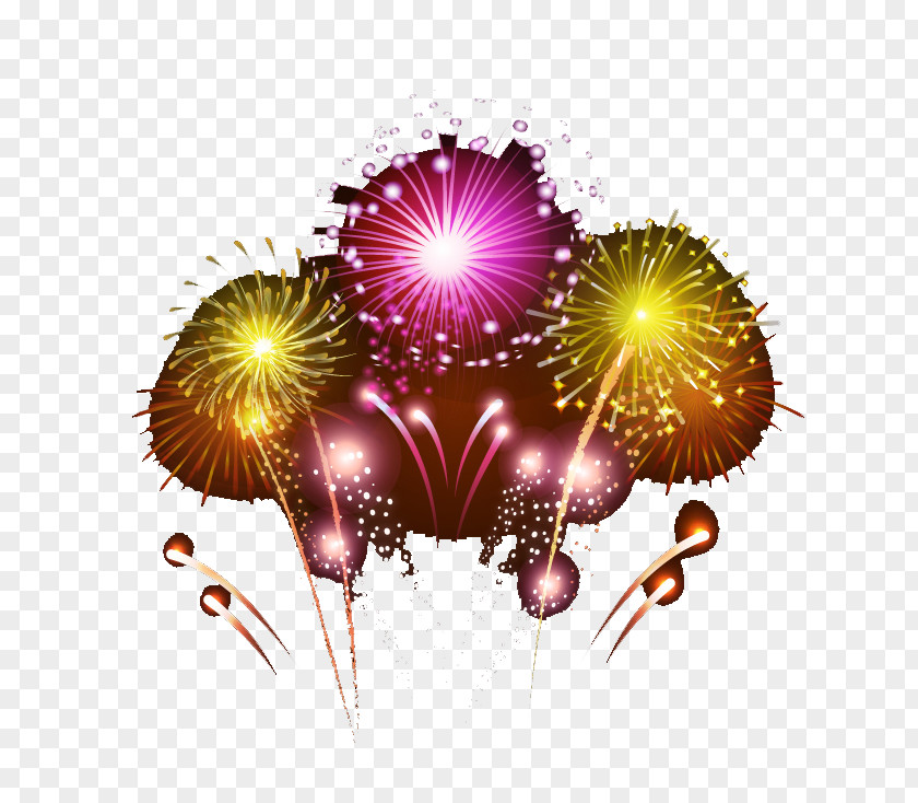 Beautiful Purple Yellow Fireworks Violet PNG