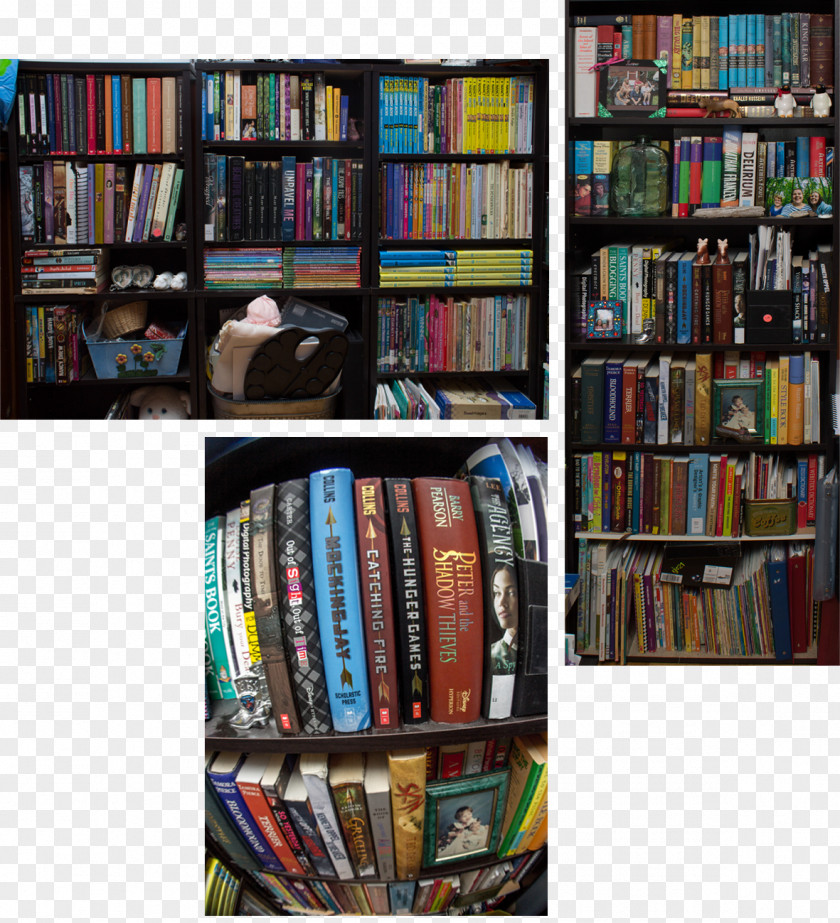 Bookshelf Bookcase Shelf Library Couch PNG